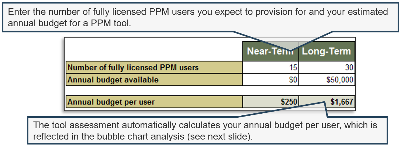 Screenshot showing the tool assessment from the PPM Strategy Development Tool with 'Near-Term' and 'Long-Term' budget columns. Notes include 'Enter the number of fully licensed PPM users you expect to provision for and your estimated annual budget for a PPM tool', 'The tool assessment automatically calculates your annual budget per user, which is reflected in the bubble chart analysis (see next slide)'.