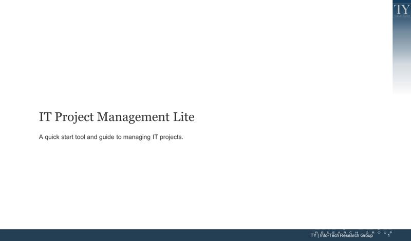 IT Project Management Lite