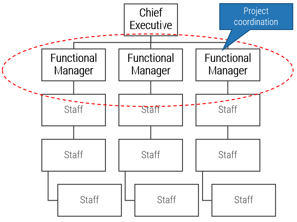 A functional hierarchical structure with 'Functional Managers' highlighted and the note 'Project coordination'. 'Chief Executive' at the top, 'Functional Managers' in the middle, and 'Staff' at the bottom.