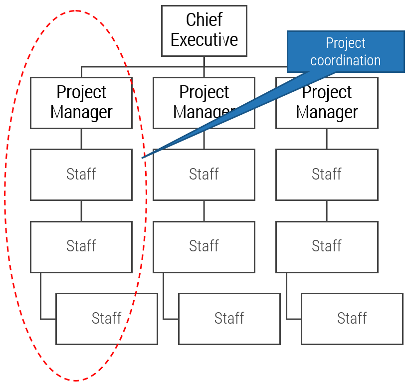 A projectized hierarchical structure with a single project hierarchy highlighted and the note 'Project coordination'. 'Chief Executive' at the top, 'Project Managers' in the middle, and 'Staff' at the bottom.