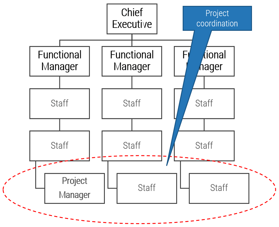 A matrix hierarchical structure with the lowest row highlighted and the note 'Project coordination'. 'Chief Executive' at the top, 'Functional Managers' in the middle, mainly 'Staff' at the bottom, except one 'Project Manager' who coordinates across functions.