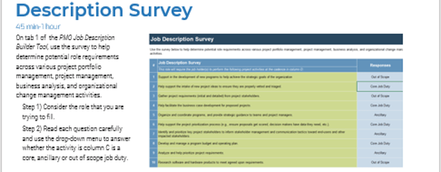 Sample of the Job Description Survey activity.