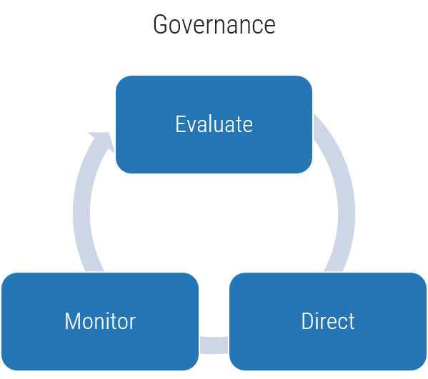 Governance Cycle