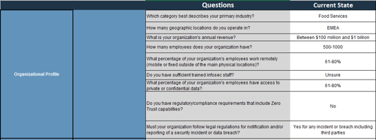 This is a screenshot of the organizational profile table found in the Zero Trust - SASE Suitability Assessment Tool