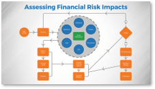 Sample of 'Assessing Financial Risk Management'.